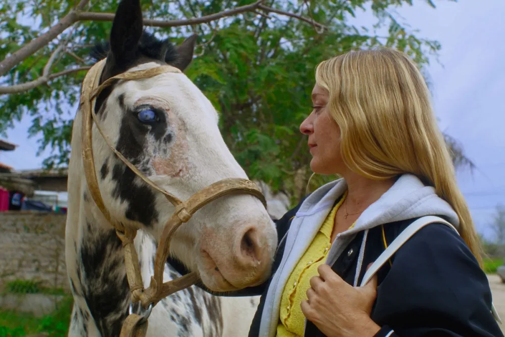 Magic Farm: Chloë Sevigny, cumbia e influencers en una comedia indie